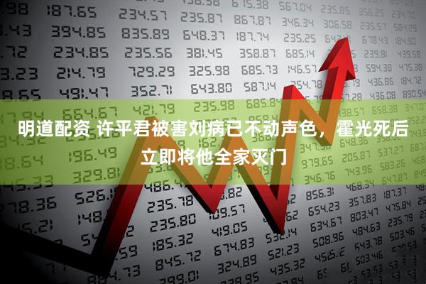 明道配资 许平君被害刘病已不动声色，霍光死后立即将他全家灭门