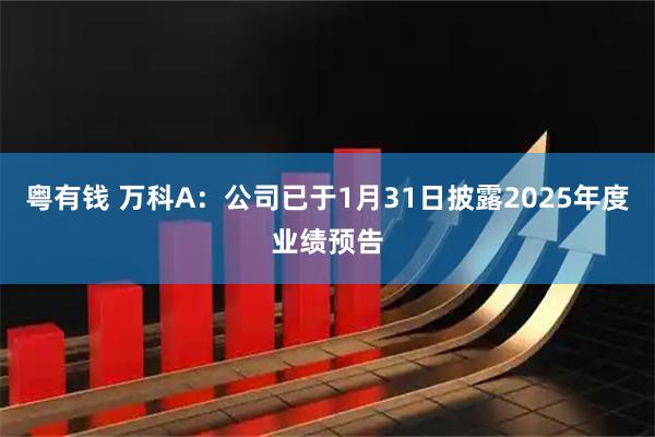 粤有钱 万科A：公司已于1月31日披露2025年度业绩预告